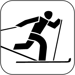 Icon: Skilanglauf