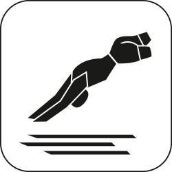 Para Schwimmen Icon: Para Schwimmen