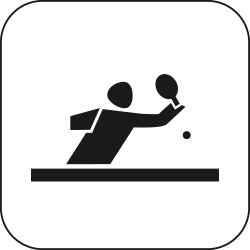 Icon: Para Tischtennnis