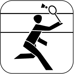 Icon: Badminton