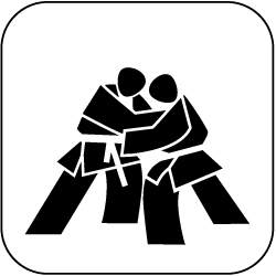 Judo Icon: Judo